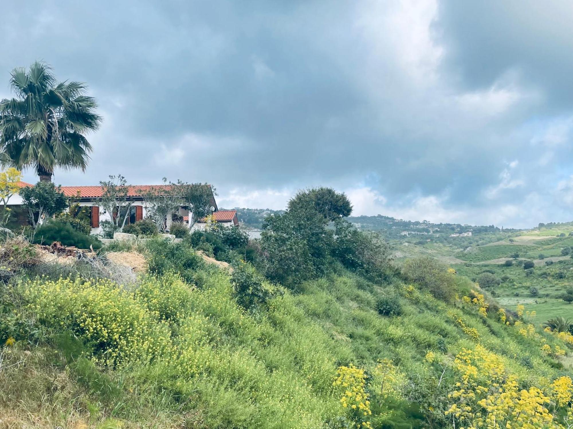 Beautiful Home Pafos Dış mekan fotoğraf
